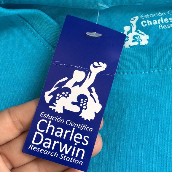 NWT! - CHARLES DARWIN Research Station 100% Brushed Cotton Galapagos Turtle Tee - Picture 4 of 8